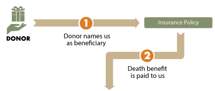 Lifetime Insurance Diagram