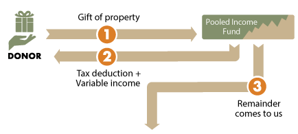 PIF Diagram