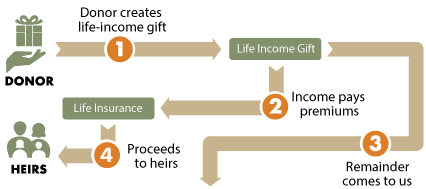 Lifetime Insurance Diagram